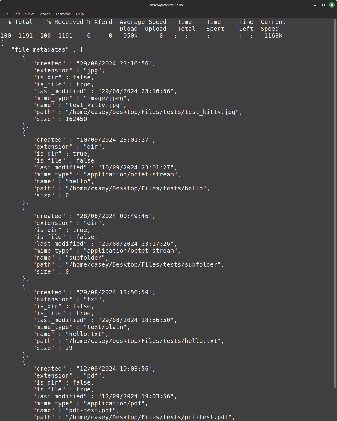 Directory metadata response from server